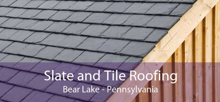 Slate and Tile Roofing Bear Lake - Pennsylvania