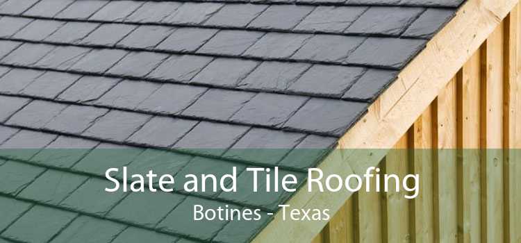 Slate and Tile Roofing Botines - Texas
