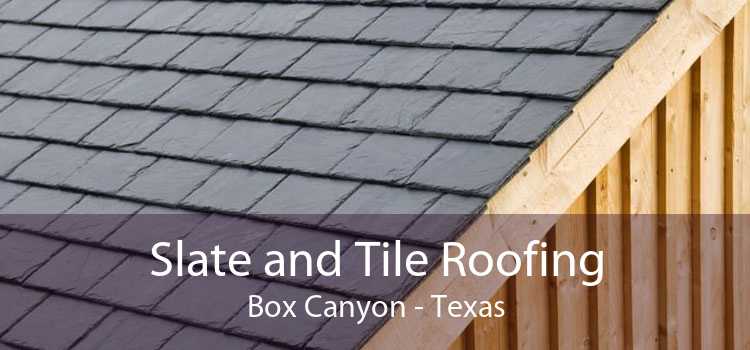 Slate and Tile Roofing Box Canyon - Texas