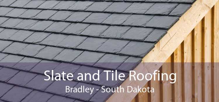 Slate and Tile Roofing Bradley - South Dakota