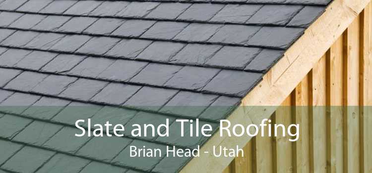 Slate and Tile Roofing Brian Head - Utah