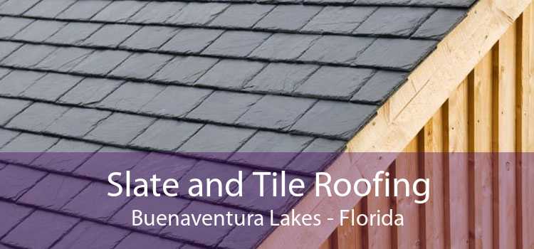 Slate and Tile Roofing Buenaventura Lakes - Florida
