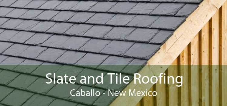 Slate and Tile Roofing Caballo - New Mexico