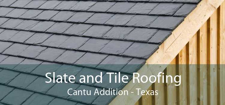 Slate and Tile Roofing Cantu Addition - Texas