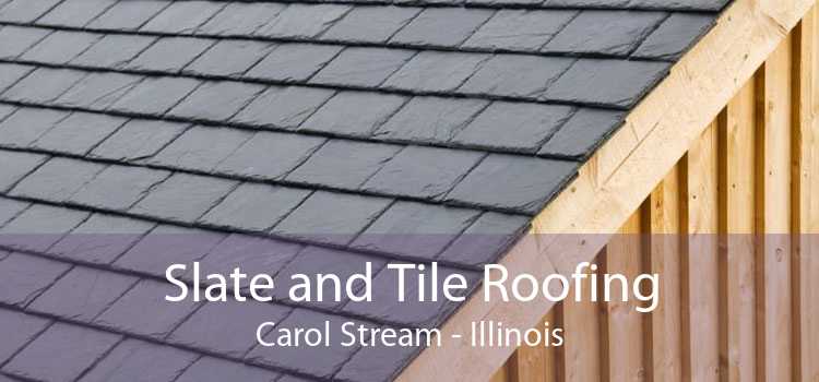 Slate and Tile Roofing Carol Stream - Illinois