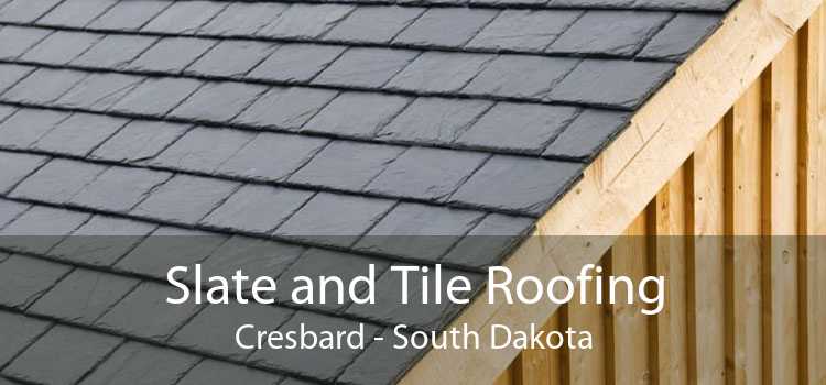 Slate and Tile Roofing Cresbard - South Dakota