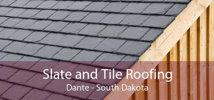 Slate and Tile Roofing Dante - South Dakota