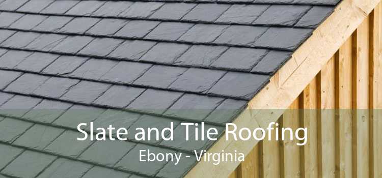 Slate and Tile Roofing Ebony - Virginia