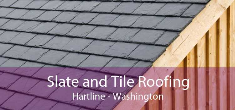 Slate and Tile Roofing Hartline - Washington