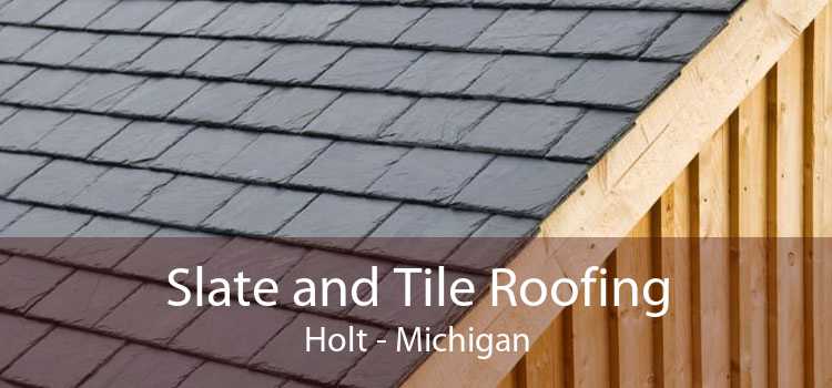 Slate and Tile Roofing Holt - Michigan