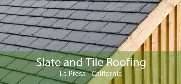 Slate and Tile Roofing La Presa - California