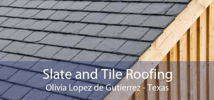 Slate and Tile Roofing Olivia Lopez de Gutierrez - Texas