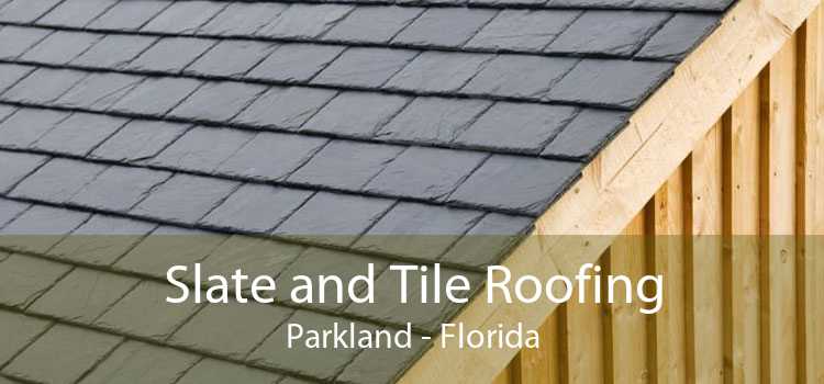 Slate and Tile Roofing Parkland - Florida