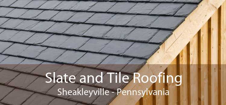 Slate and Tile Roofing Sheakleyville - Pennsylvania