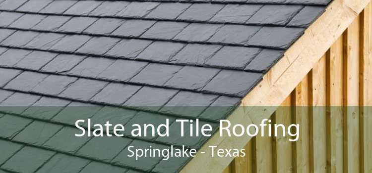 Slate and Tile Roofing Springlake - Texas