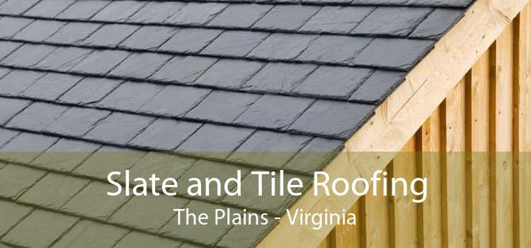 Slate and Tile Roofing The Plains - Virginia