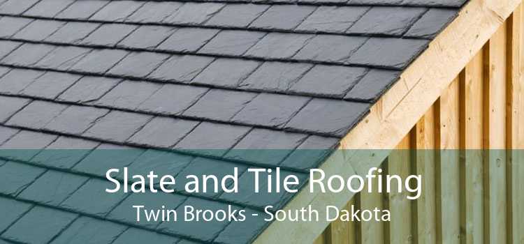 Slate and Tile Roofing Twin Brooks - South Dakota
